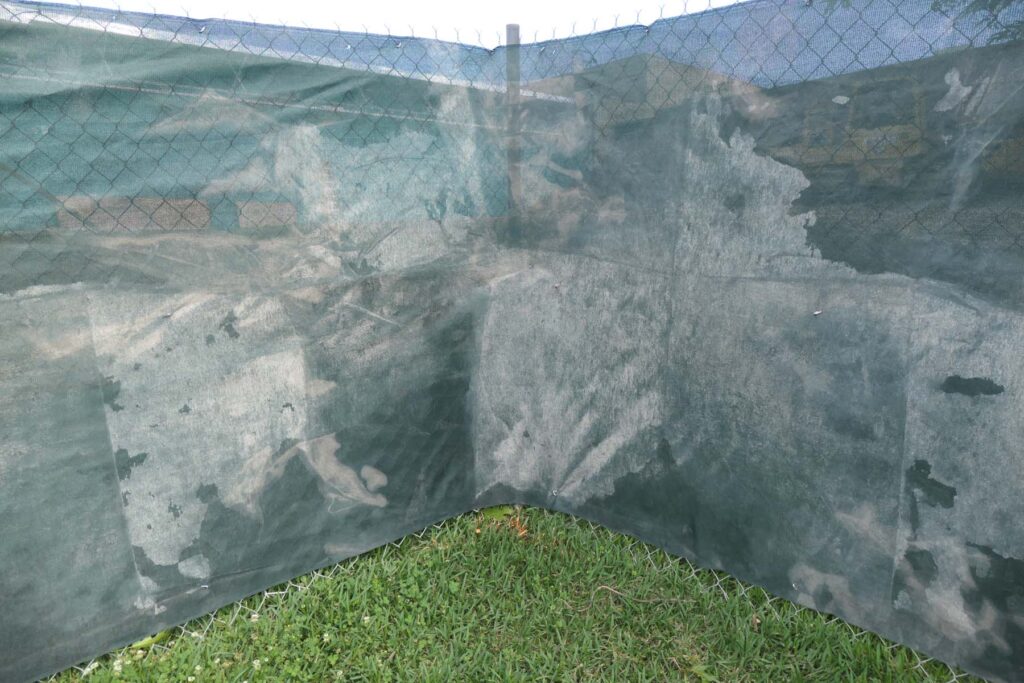 A wall of painted texture divides a lawn