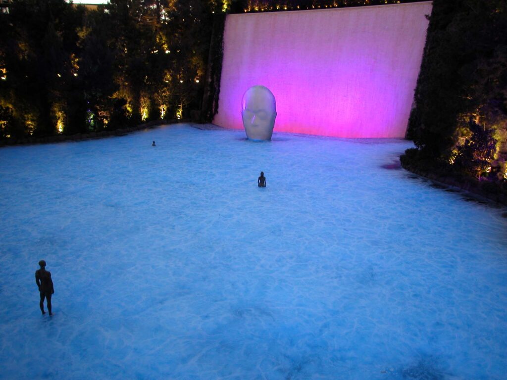 Figure in blue water facing large pink screen